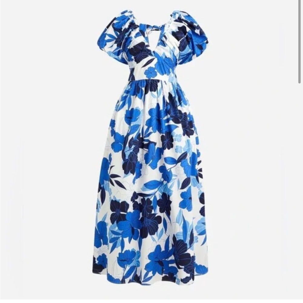 JCrew Cecily dress in painted floral print size 8 NWT